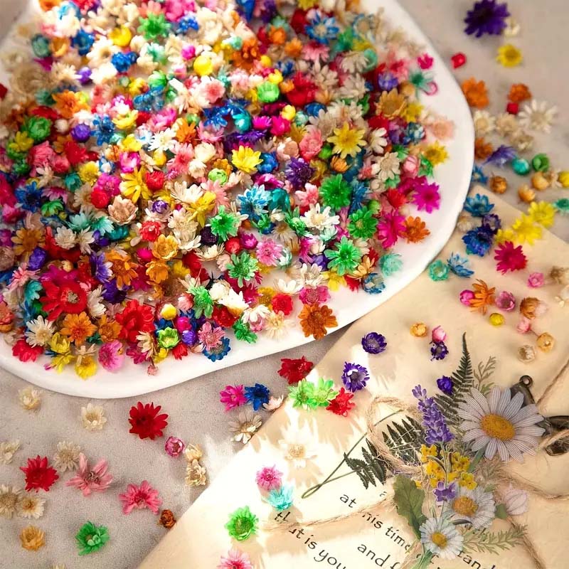 Balmumu Kalıplama için Karışık - Resin Craft Ideas incelemesi ve fiyatı